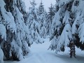 DSCN2264
