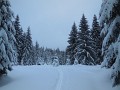 DSCN2265
