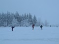 DSCN2285