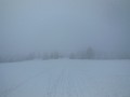 DSCN2455