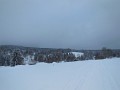 DSCN7566