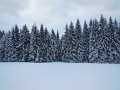 DSCN7587