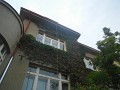 DSCN6584