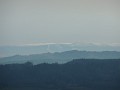DSCN3270