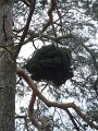 DSCN3272