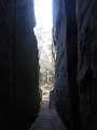 DSCN3293