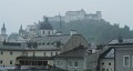 DSCN5546