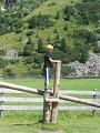 DSCN5656