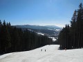 DSCN3037