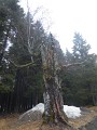DSCN3148