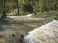 DSCN3397
