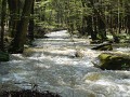 DSCN3402