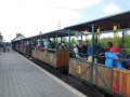 DSCN3598