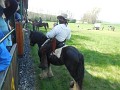 DSCN3616