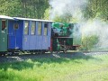 DSCN3633