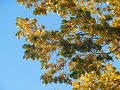 DSCN6791