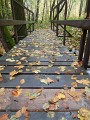 DSCN6984