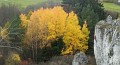 DSCN7134