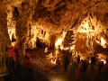 DSCN7160