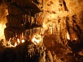 DSCN7167