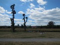 DSCN4380