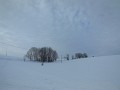 DSCN2512