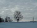 DSCN2513
