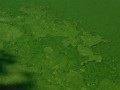 DSCN6180