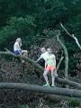 DSCN6198