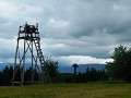 DSCN6378