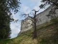 DSCN3327