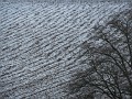 DSCN7731