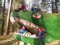 DSCN7762