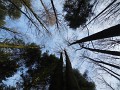 DSCN7769
