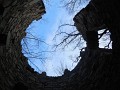 DSCN7777