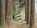 DSCN7791