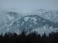 DSCN7298