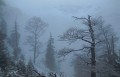 DSCN7327
