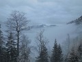 DSCN7332