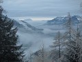 DSCN7338