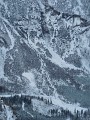 DSCN7367