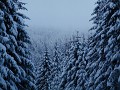 DSCN3597
