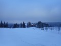 DSCN3598