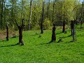 DSCN0543