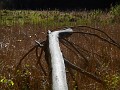 DSCN0627