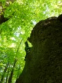 DSCN0728