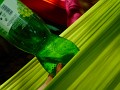 DSCN0754