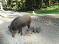 DSCN0786