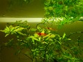 DSCN3623