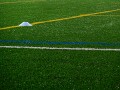 DSCN0947
